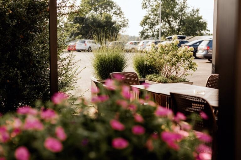 Strona główna zajazd_podjadek